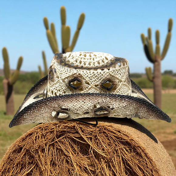 Wild Bull International Cowboy Cowgirl Hat Rodeo Rigid Straw Western Distressed - Picture 3 of 7